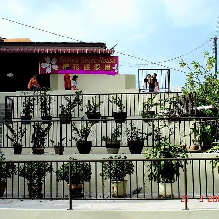 Sakura Guest House Cameron Highlands Exterior photo